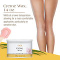 Mini Pro Waxing Kit